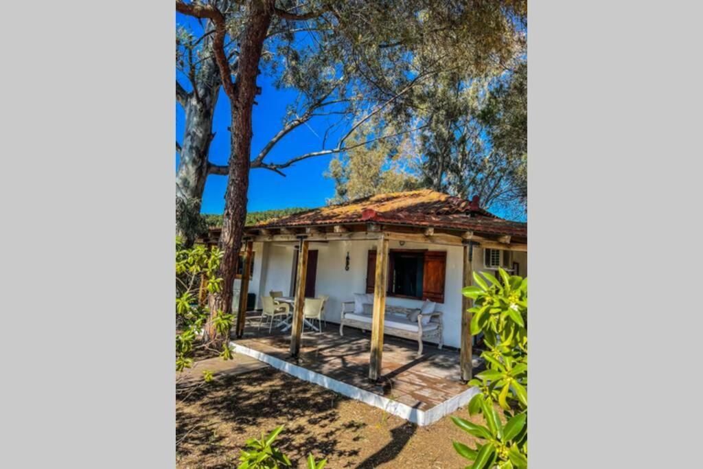 Kolios Amouage Boutique Home מראה חיצוני תמונה
